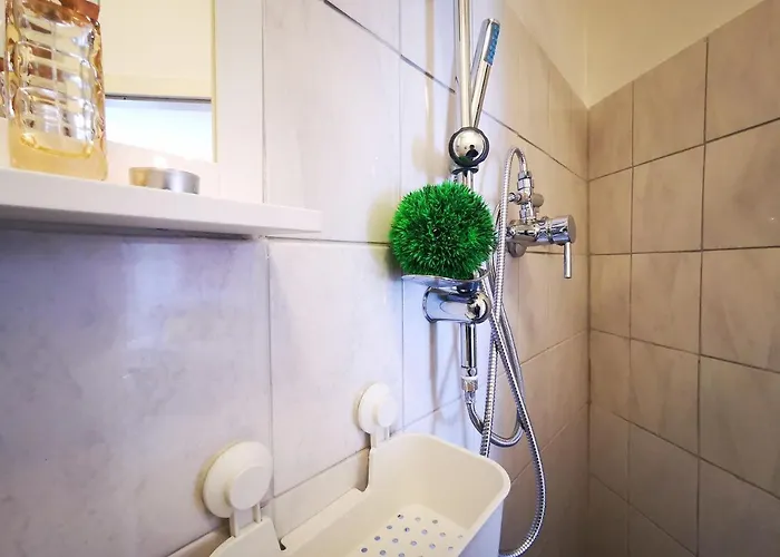 Roko In * 스플리트